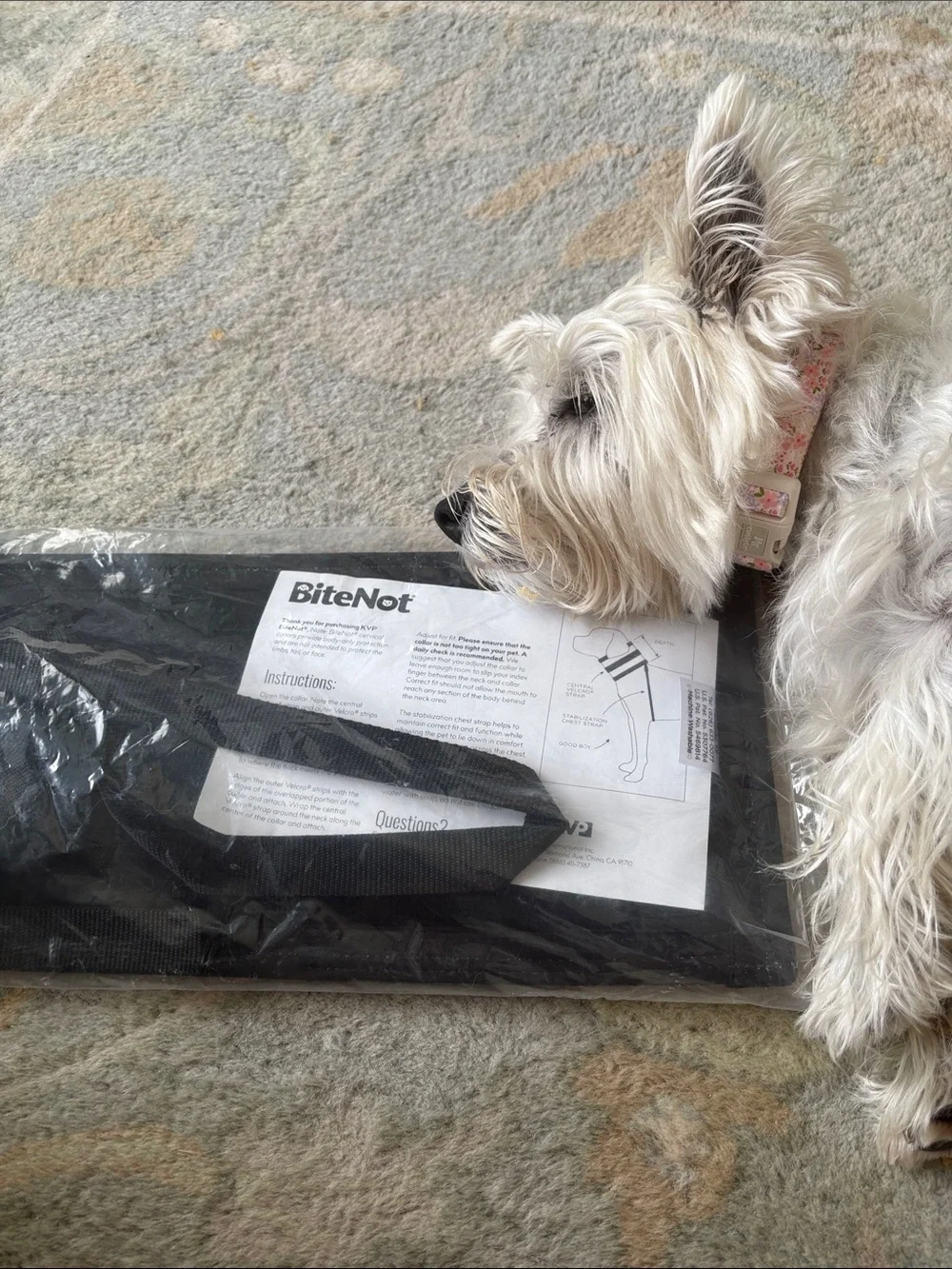 XX-Large Dog Bite Prevention Sleeve